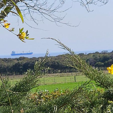 La Monturera, Loft De Campo Daire Colonia del Sacramento Dış mekan fotoğraf