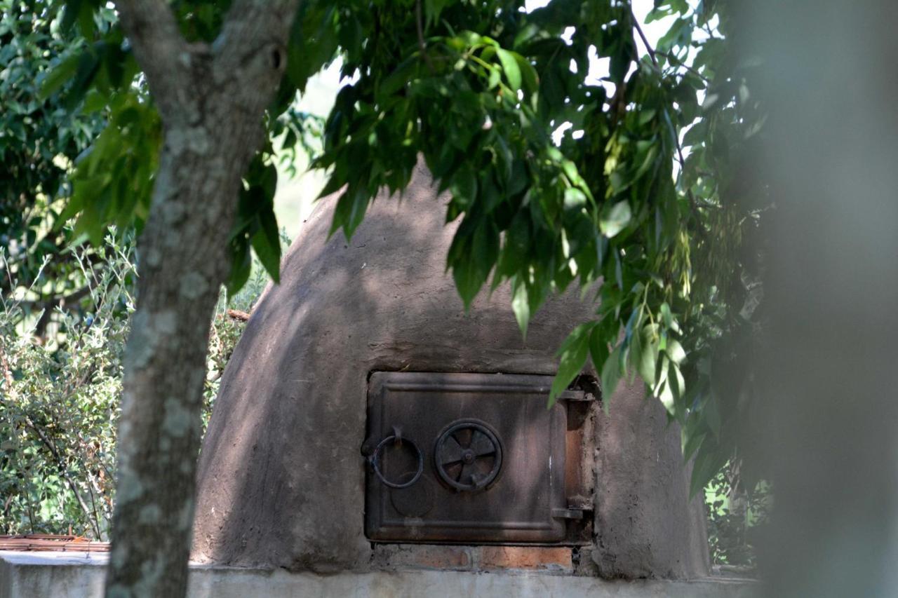 La Monturera, Loft De Campo Daire Colonia del Sacramento Dış mekan fotoğraf