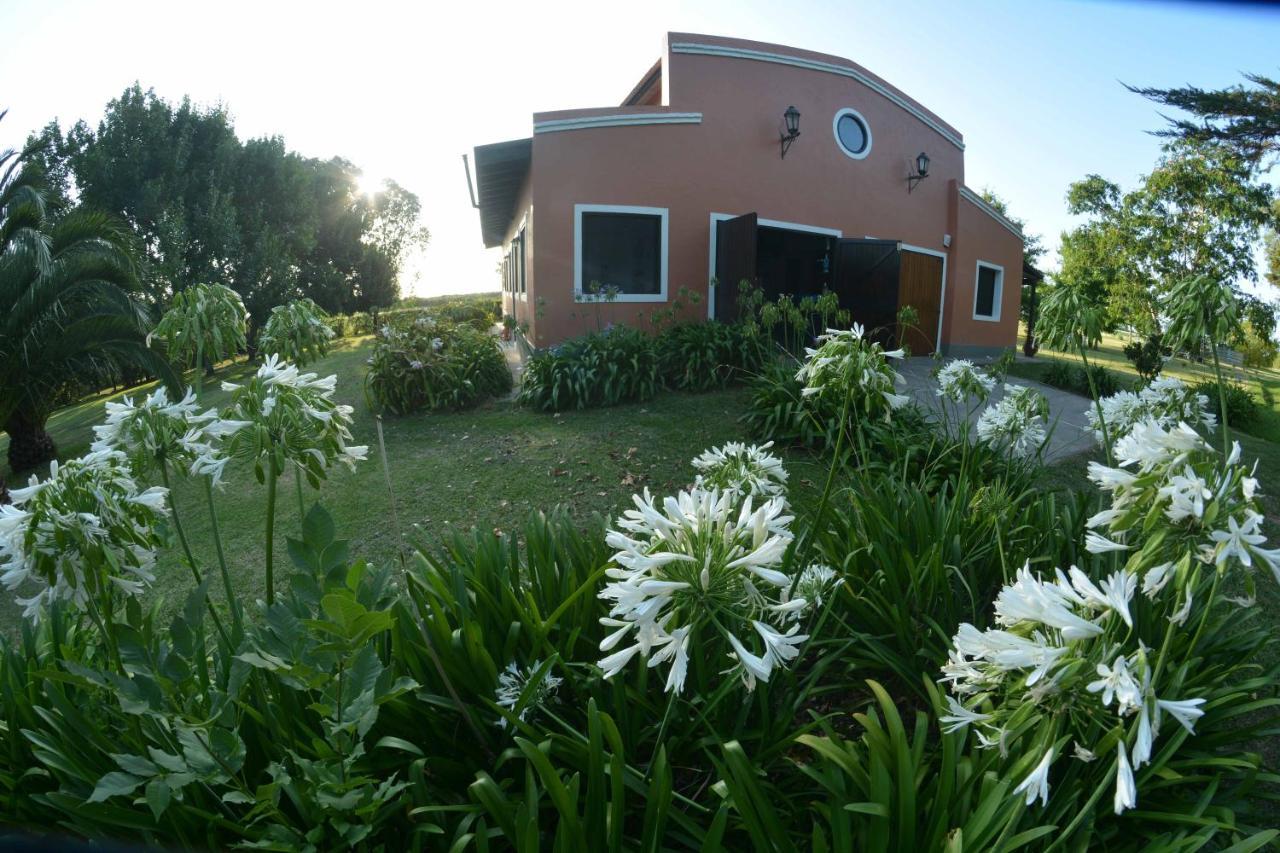 La Monturera, Loft De Campo Daire Colonia del Sacramento Dış mekan fotoğraf