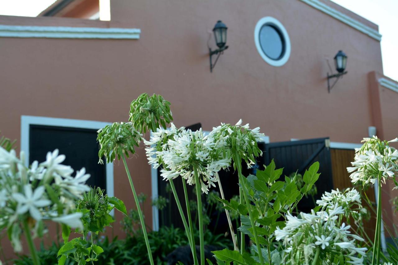 La Monturera, Loft De Campo Daire Colonia del Sacramento Dış mekan fotoğraf